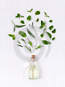 Bottle of essential oil with herb holy basil leaf, rosemary,oregano, sage,basil and mint on white background.