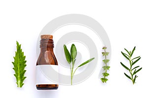 Bottle of essential oil with herb holy basil leaf, rosemary,oreg
