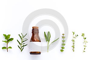 Bottle of essential oil with herb holy basil leaf, rosemary,oregano, sage,basil and mint on white background.