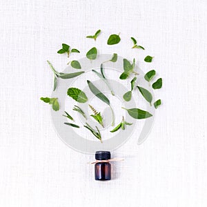 Bottle of essential oil with herb holy basil leaf,