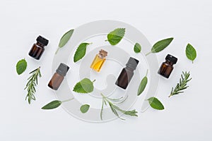 Bottle of essential oil and herbal medicine with fresh herbs lav