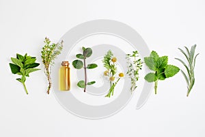 Bottle of essential oil with herbs arranged on white background