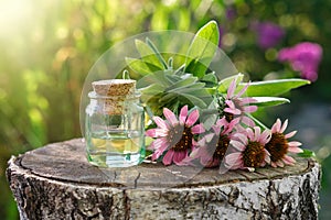 Bottle of essential oil or infusion, coneflowers and sage plants on stump outdoors.