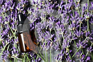 Bottle of essential oil on lavender flowers