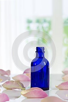 Bottle of essential oil and pink rose isolated on white