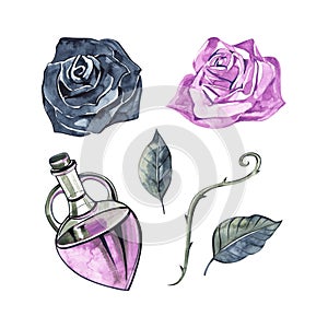 Bottle with essential oil of rose. Cosmetic, perfumery and medical oils. Watercolor set