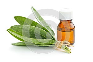 Bottle of essential sage oil.