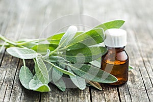 Bottle of essential sage oil.