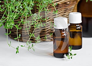 Bottle of essential thyme oil
