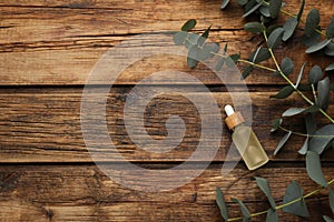 Bottle of eucalyptus essential oil and plant branches on wooden background, flat lay. Space for text