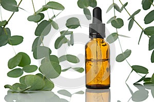 Bottle of eucalyptus oil and eucalyptus twigs on white