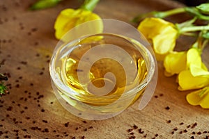 A bottle of evening primrose oil with blooming evening primrose plant and seeds
