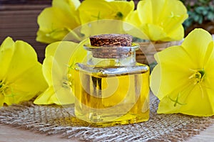 A bottle of evening primrose oil with fresh blooming evening pri
