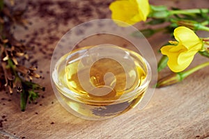 A bottle of evening primrose oil with fresh blooming evening primrose