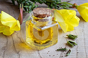 A bottle of evening primrose oil with fresh evening primrose flo