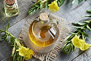 A bottle of evening primrose oil with fresh plant