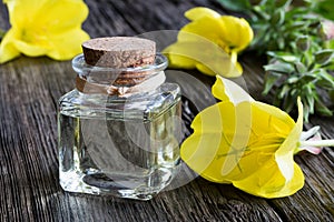 A bottle of evening primrose oil with yellow evening primrose fl