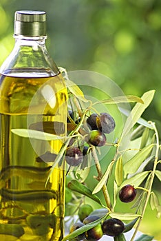 Bottle of extra virgin olive oil photo