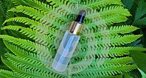 A bottle with an eyedropper on the background of a green fern leaf. Frosted glass container for cosmetic skin care