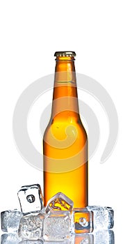 Bottle of fresh beer with ice,beer on summer