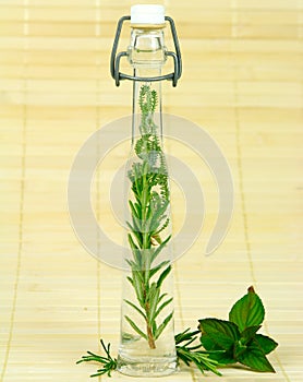 Bottle with fresh herbs