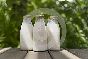 A bottle of fresh milk on a sunny summer farm meadow, grass, nature and plants. Mockup, eco food, dairy products concept