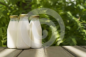 A bottle of fresh milk on a sunny summer farm meadow, grass, nature and plants. Mockup, eco food, dairy products concept