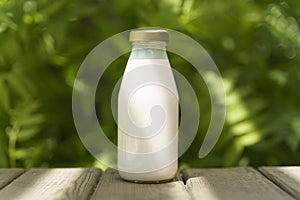 A bottle of fresh milk on a sunny summer farm meadow, grass, nature and plants. Mockup, eco food, dairy products concept