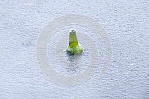 Bottle frozen in the canal.