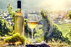 Bottle and full glass of white wine over vineyard background