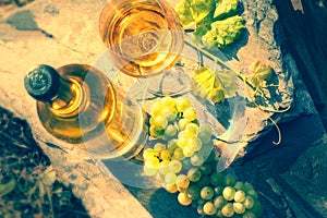 Bottle and full glass of white wine over vineyard background. Wi