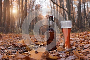 Bottle and glass of cold beer at sunset. Autumn landscape. Recreation and relax. Fresh brewed ale