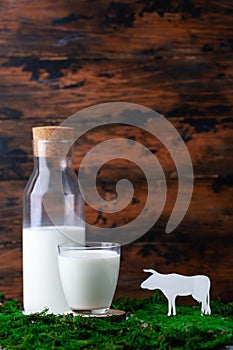 Bottle and glass of milk on grass and silhouete of caw