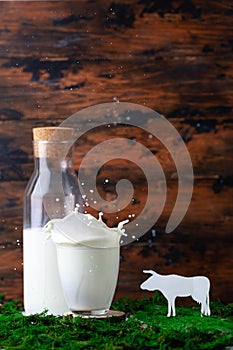 Bottle and glass of milk with splash with grass and silhouete of caw
