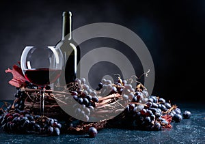 Bottle and glass of red wine and blue grapes on a dark blue background