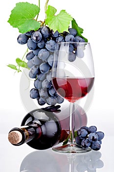 Bottle and glass of red wine, bunch of grapes with leaves isolated on white background