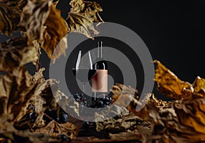 Bottle and glass of red wine on a table with dried vine leaves and blue grapes