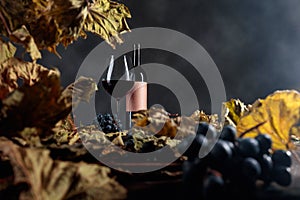 Bottle and glass of red wine on a table with dried vine leaves and blue grapes