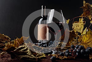 Bottle and glass of red wine on a table with dried vine leaves and blue grapes
