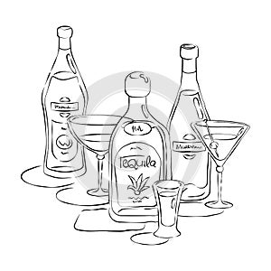 Bottle and glass vermouth tequila martini together in hand drawn style. Beverage outline icon. Restaurant illustration for