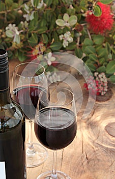 Bottle & Glasses Red Wine on Outdoor Table