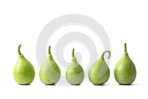 Bottle gourd or calabash