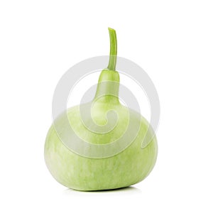 The Bottle Gourd, Calabash on white background