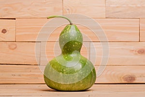 Bottle Gourd