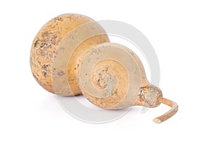 Bottle gourd isolated on white