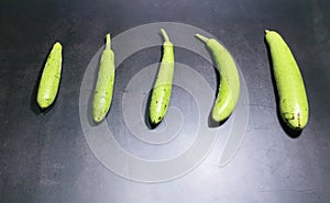 bottle gourd, Lagenaria siceraria isolated on black background.