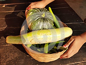 Bottle gourd, pumpkin, Sponge gourd and okara vegetable.