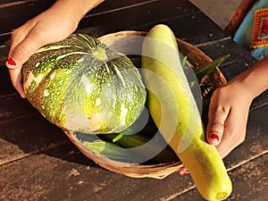 Bottle gourd, pumpkin, Sponge gourd and okara vegetable.