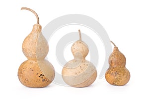 Bottle gourds isolated