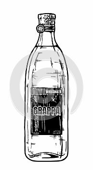 Bottle of grappa